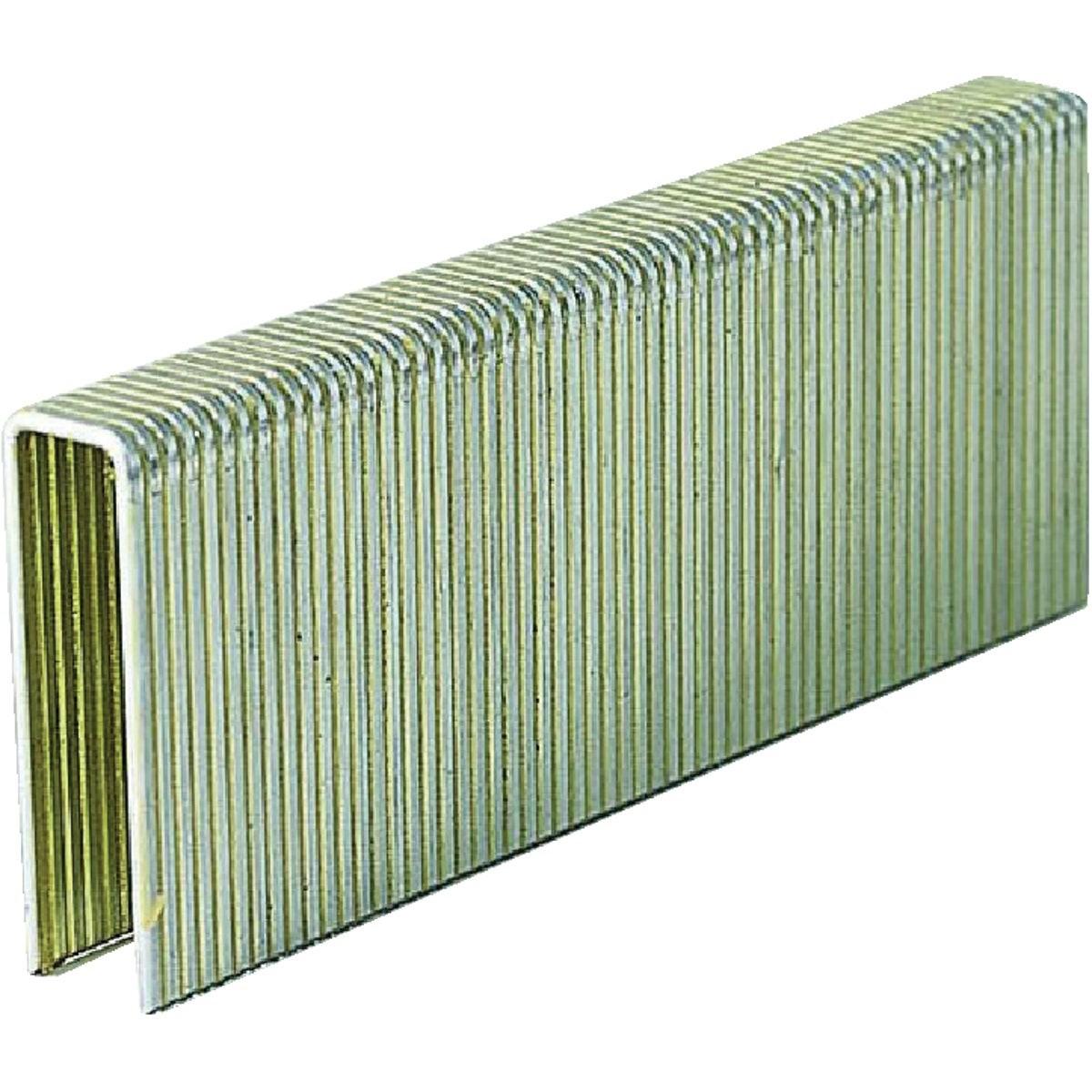 Grip-Rite 16-Gauge Galvanized N-Style Medium Crown Finish Staple, 7/16 In. x 2 In. (10,000 Ct.)