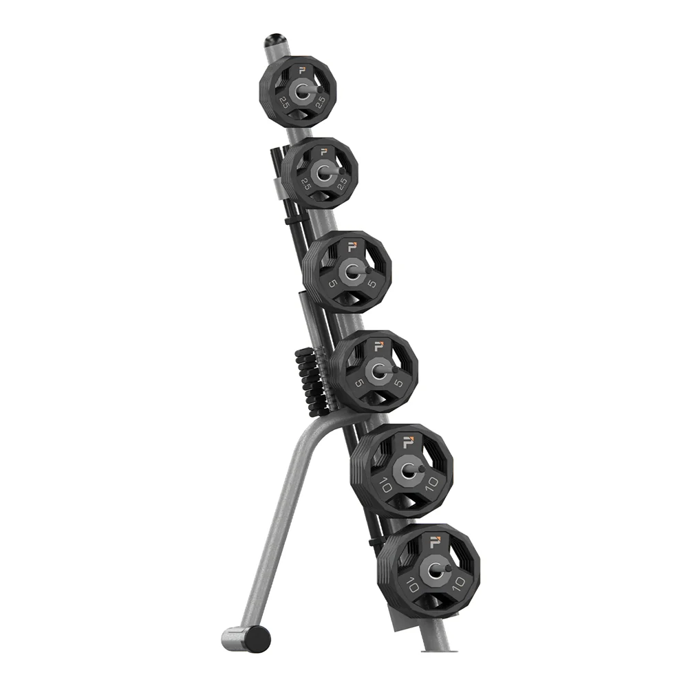 ProElite Pump 10 Set Gray W/Rack & Spring Collars