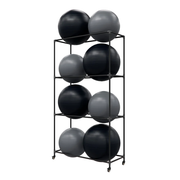 Metal Stability Ball Rack w/ 8 VersaBall Pro Kit