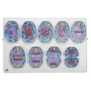 Mitosis Model