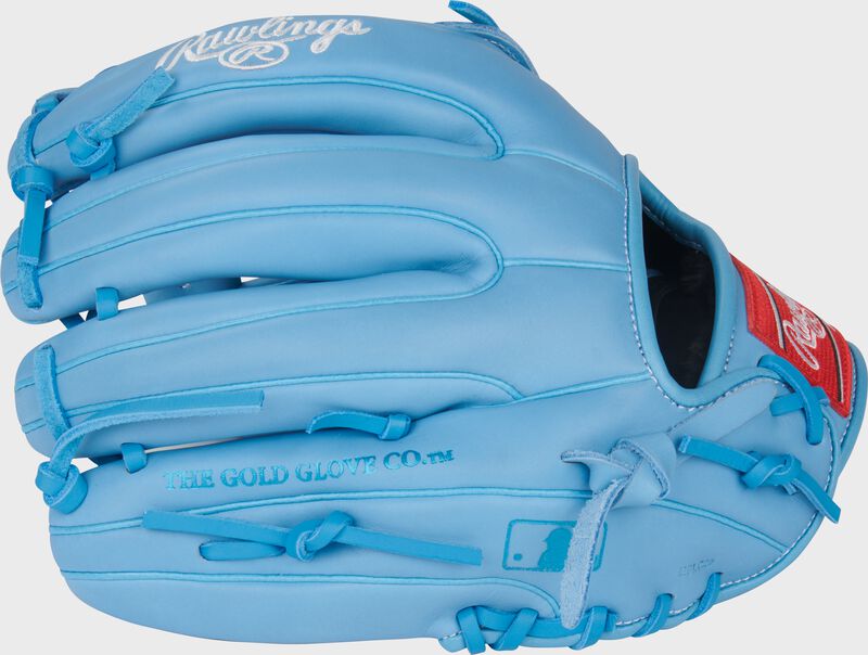 Rawlings R9 Baseball Series 11.75-Inch Baseball Glove  - Right Hand Thrower - Columbia Blue