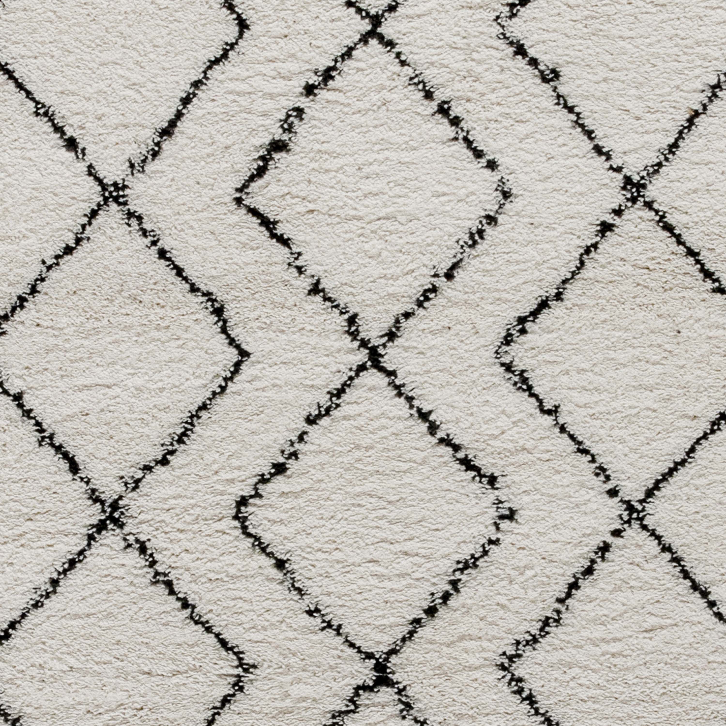 Roxy Geometric Style Bohemian Shag Area Rug - 8' x 10' - Ivory