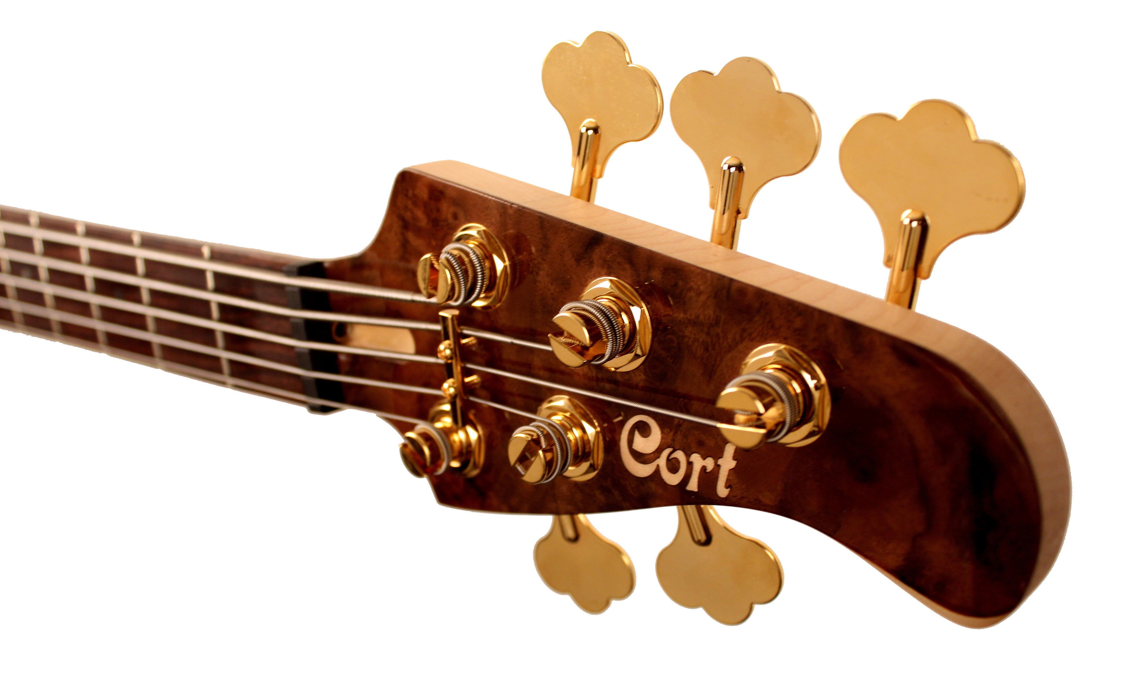 Cort RITHIMICV 5 String Bass Guitar. Natural Glossy