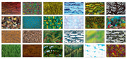 Planet Earth Craft Paper