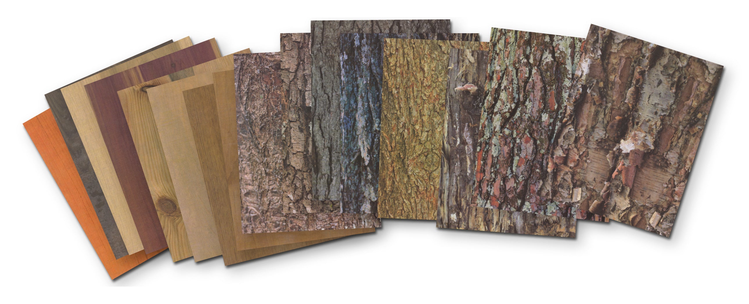 Terrific Tree Craft Paper  32 sheets