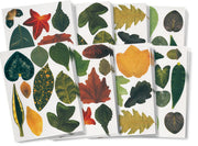 Crafty Leaves  266/pkg