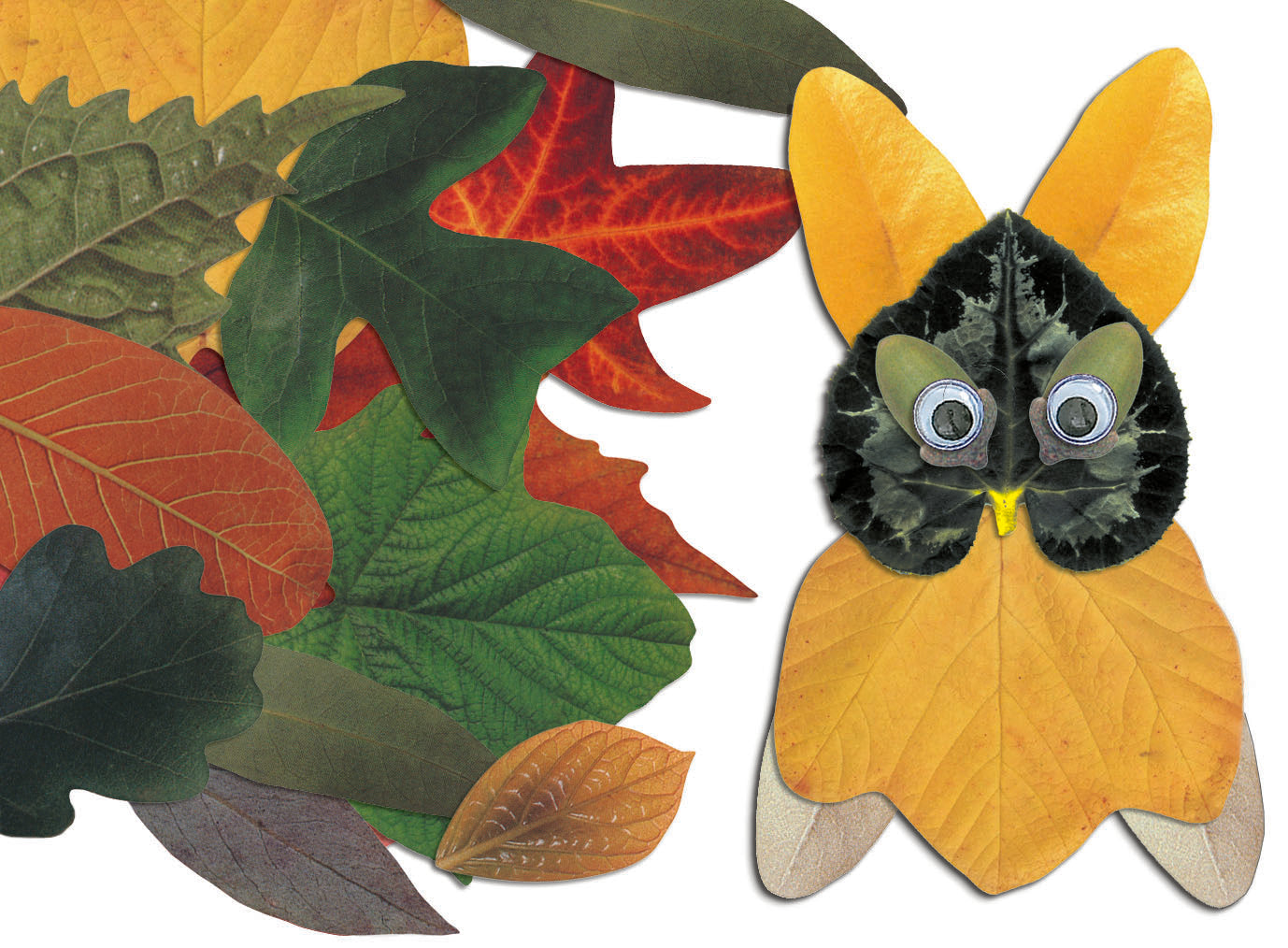 Crafty Leaves  266/pkg