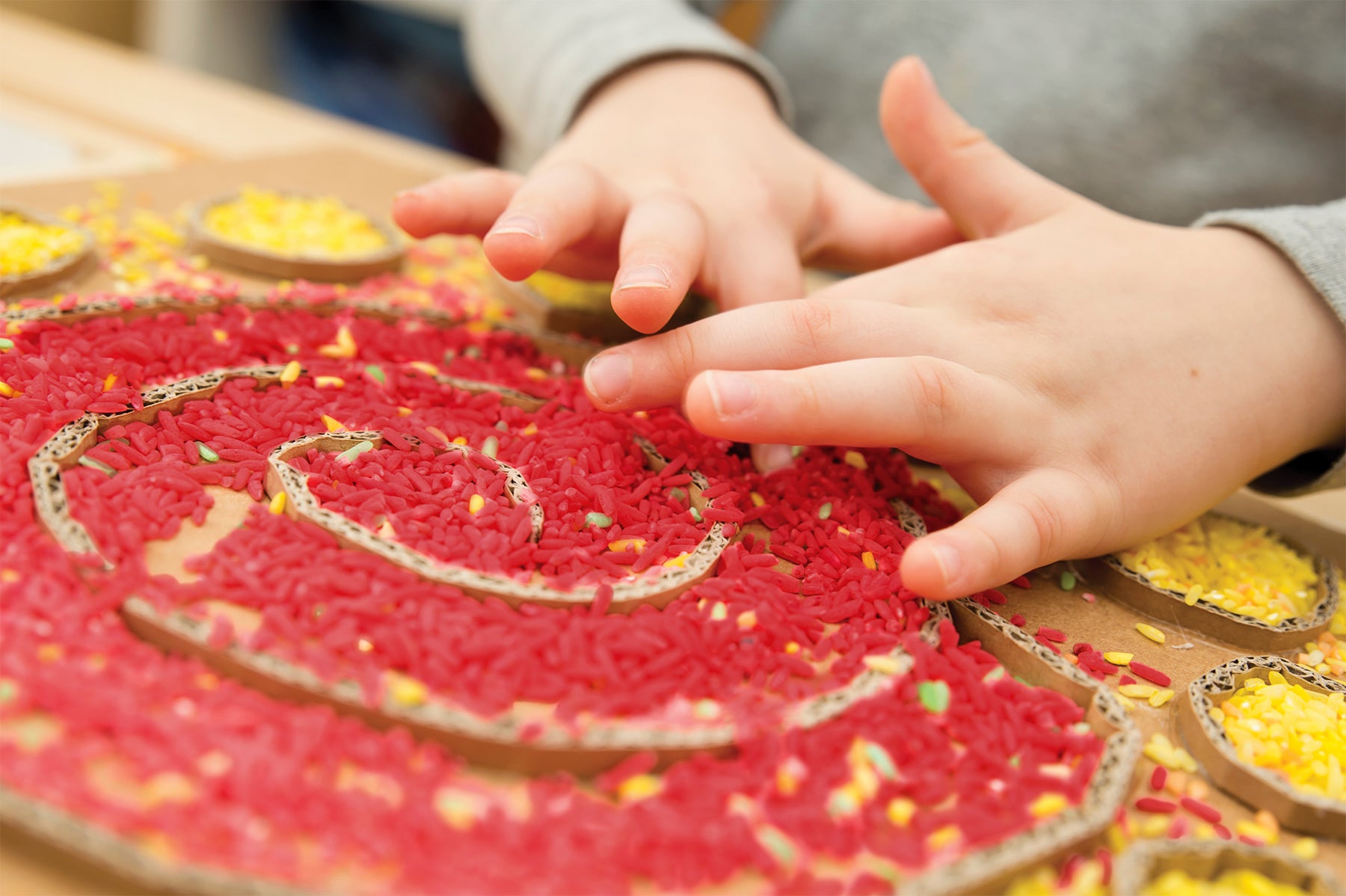 Sensory Rice