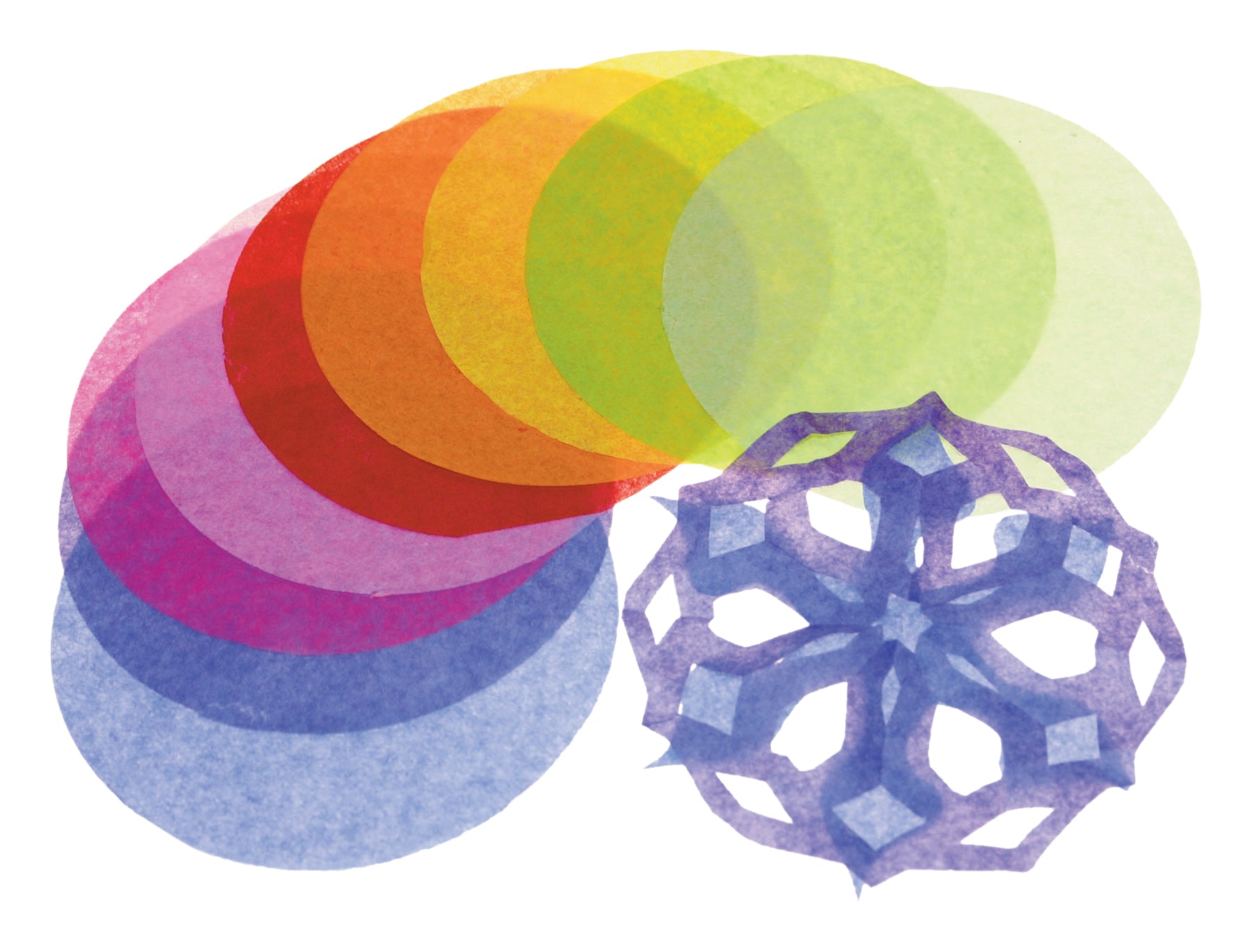 Tissue Circles  480/pkg