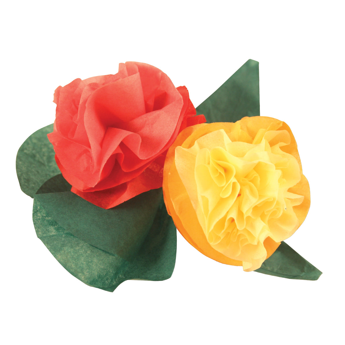 Tissue Circles  480/pkg