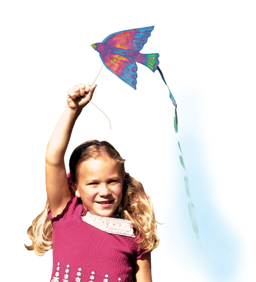 Bird Kite 32/pkg