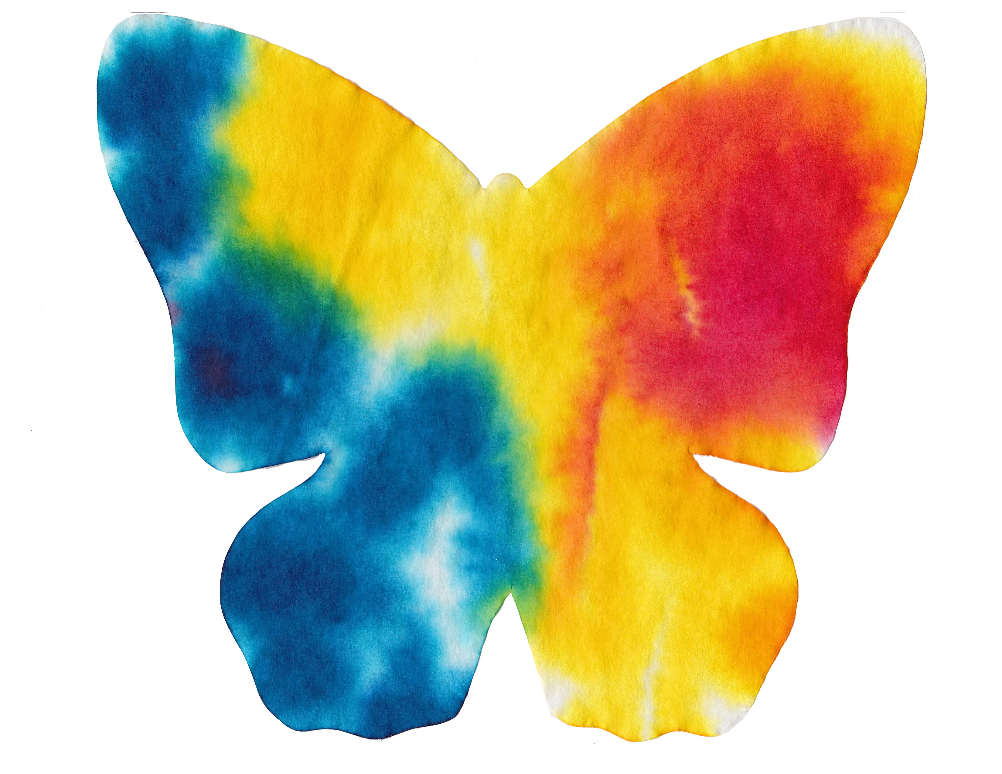 Color Diffusing Paper Butterflies  48/pkg