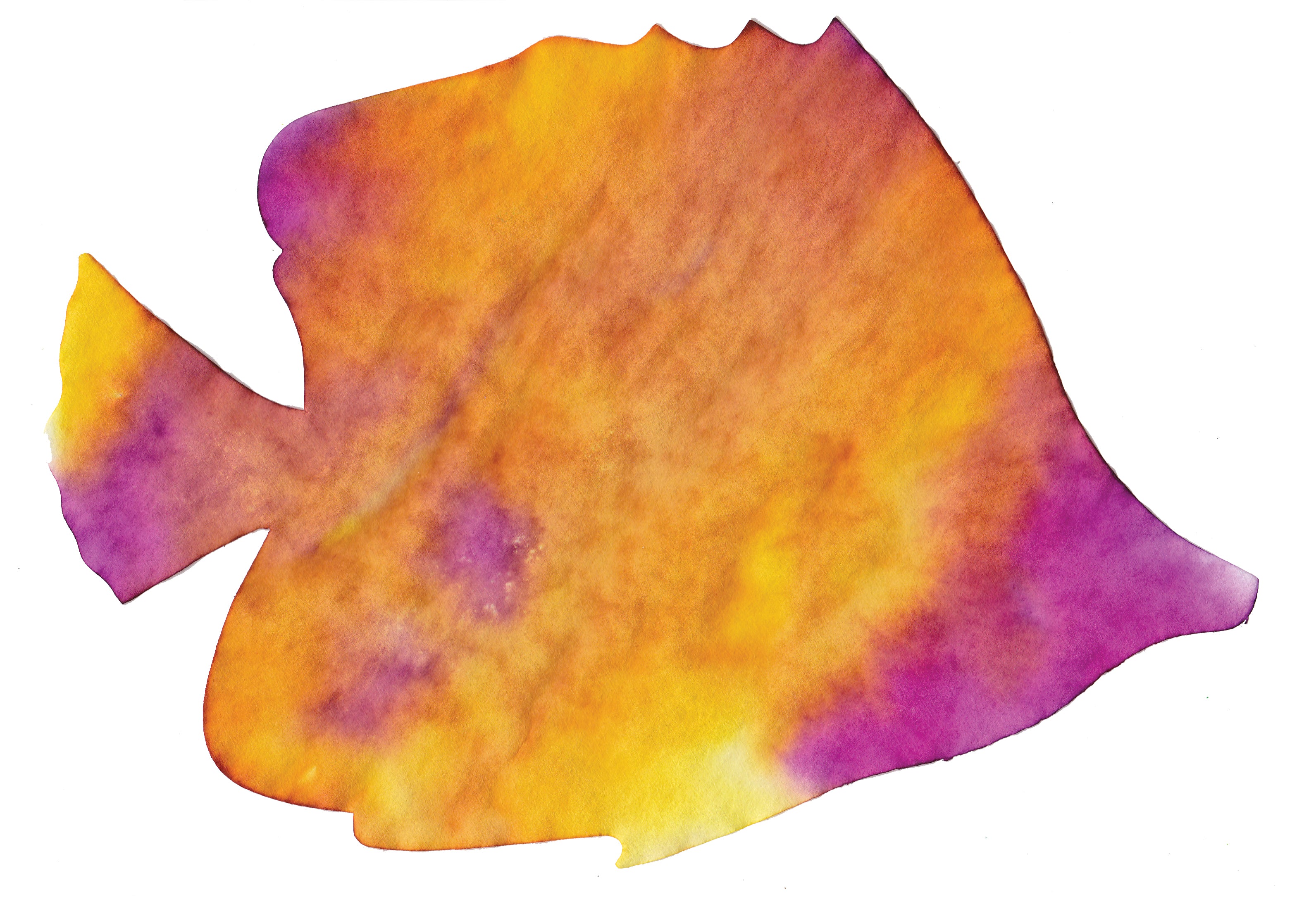 Color Diffusing Paper Sealife Shapes 48/pkg