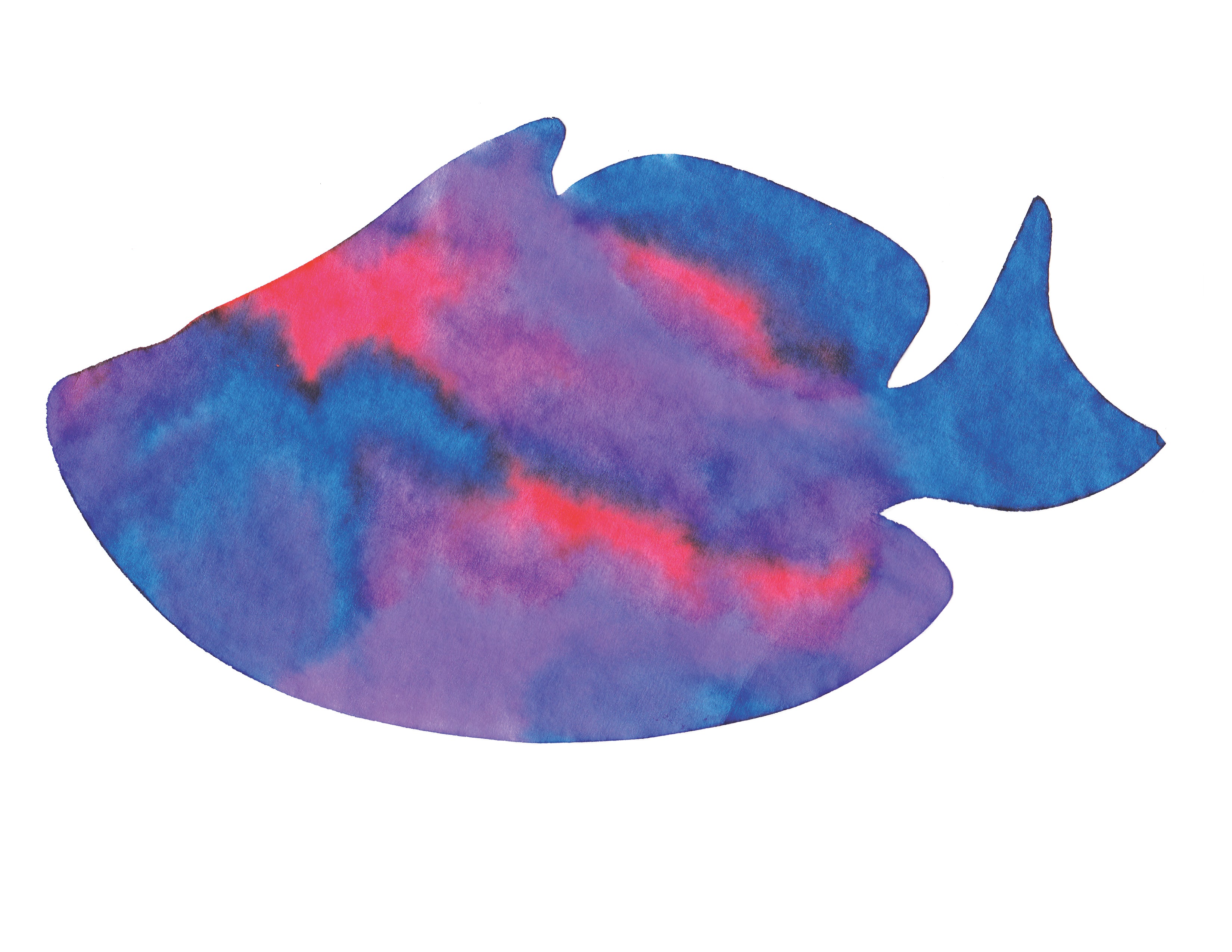 Color Diffusing Paper Sealife Shapes 48/pkg