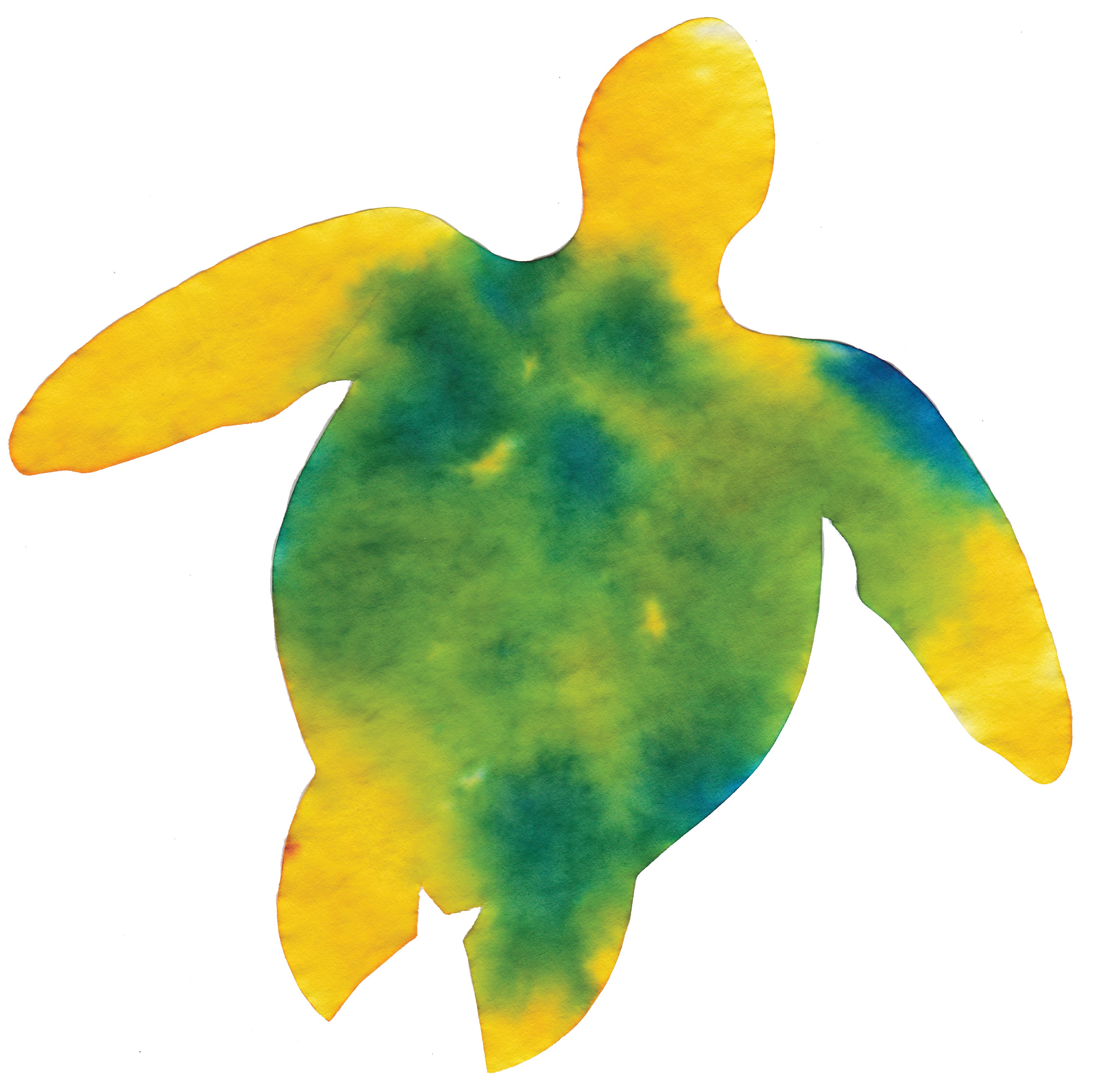 Color Diffusing Paper Sealife Shapes 48/pkg