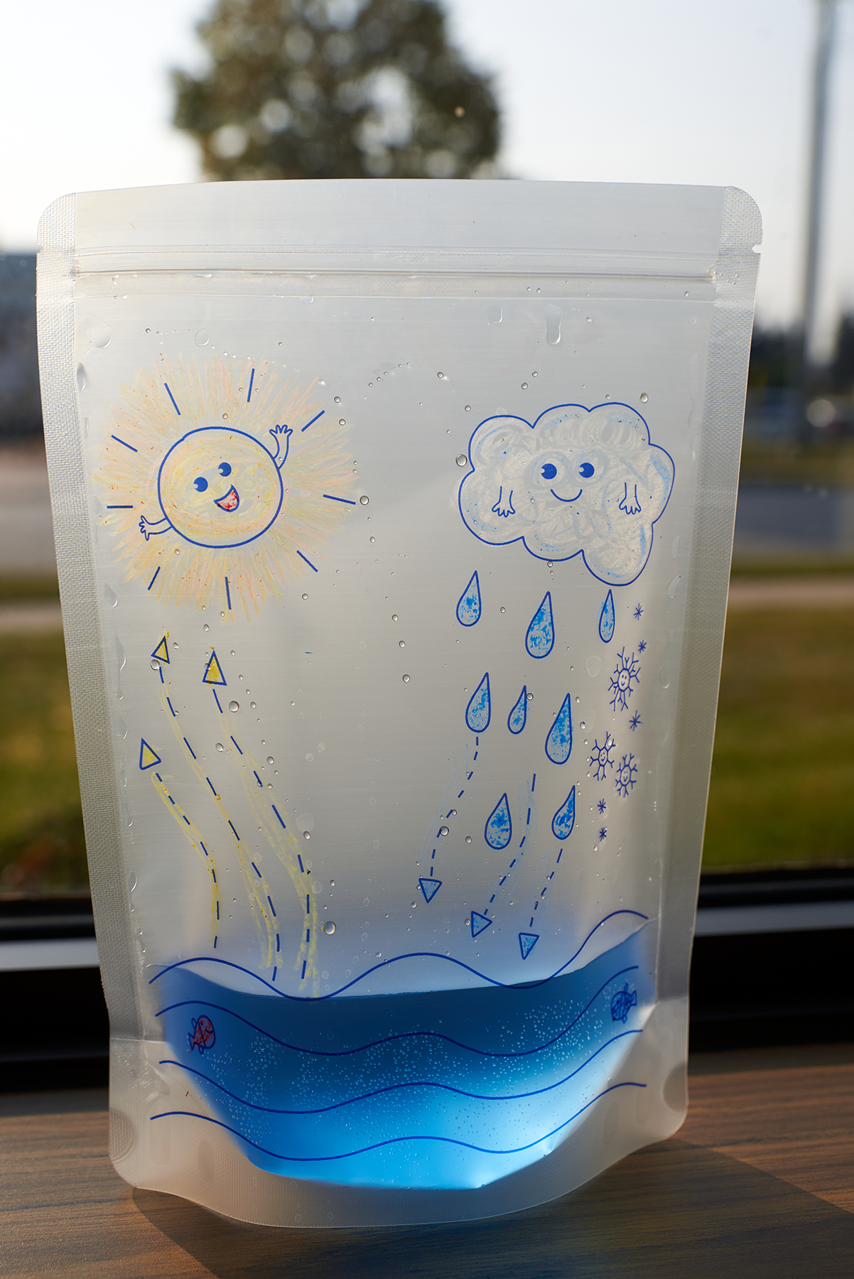 Water Cycle Experiment Kit