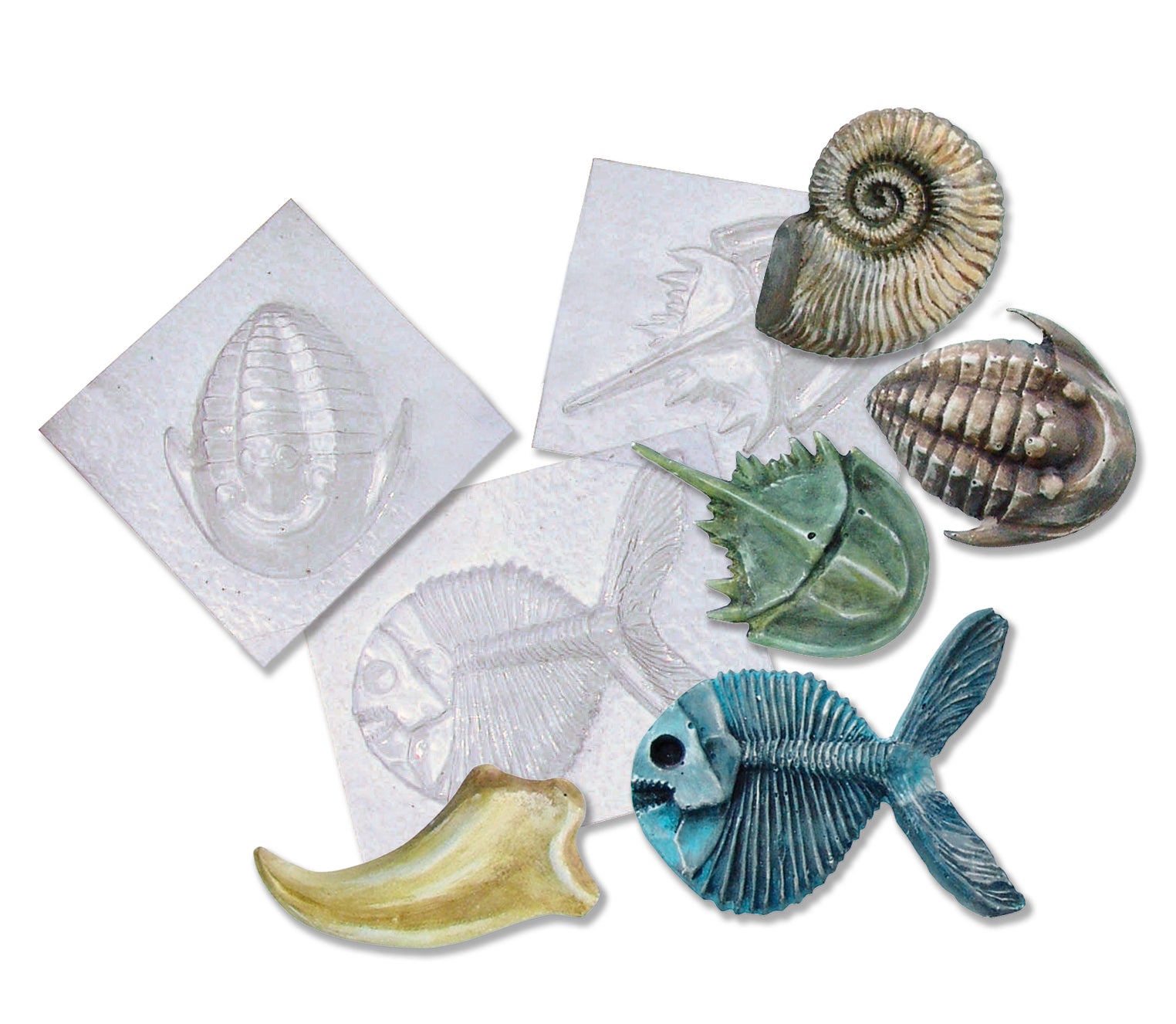 Fossil Molds  5 designs