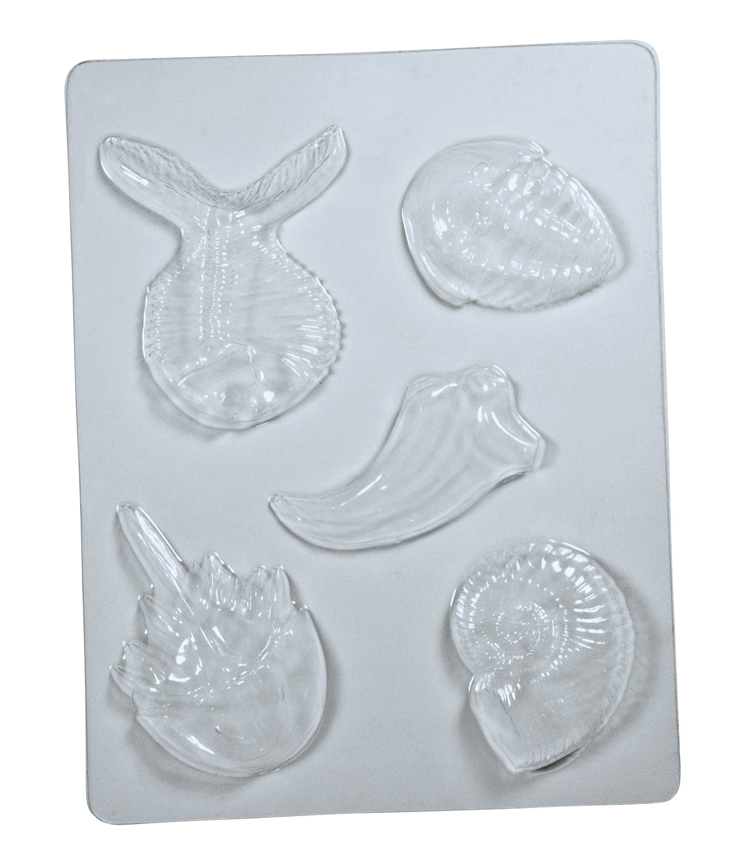 Fossil Molds  5 designs