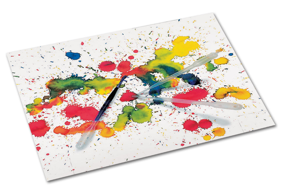 Paint Pipettes 8/pkg