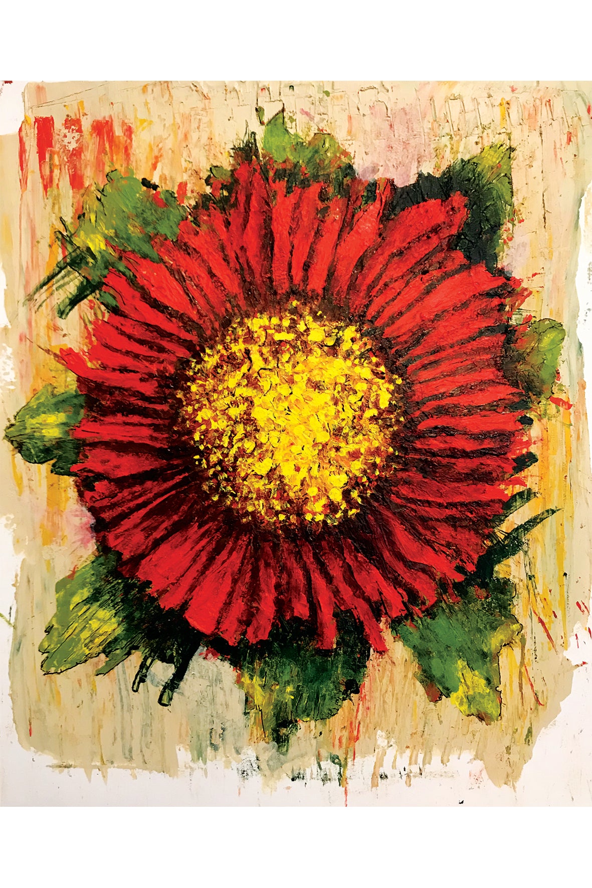 Paint Scrapers™   7/pkg