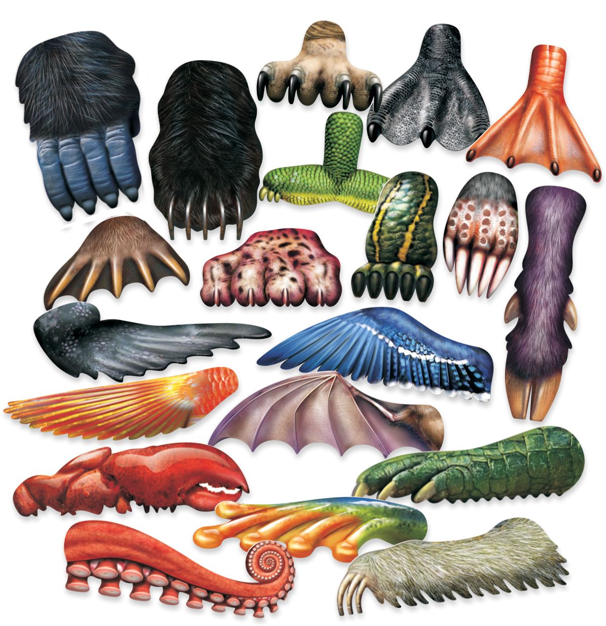 Animal Paint Scrapers  20/pkg