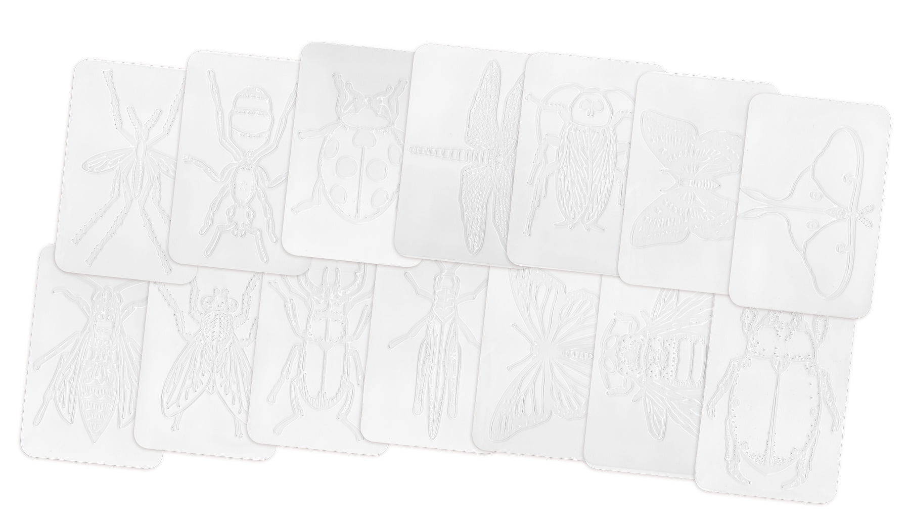 Insects Rubbing Plates  16/pkg