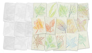 Leaf Rubbing Plates 16/pkg