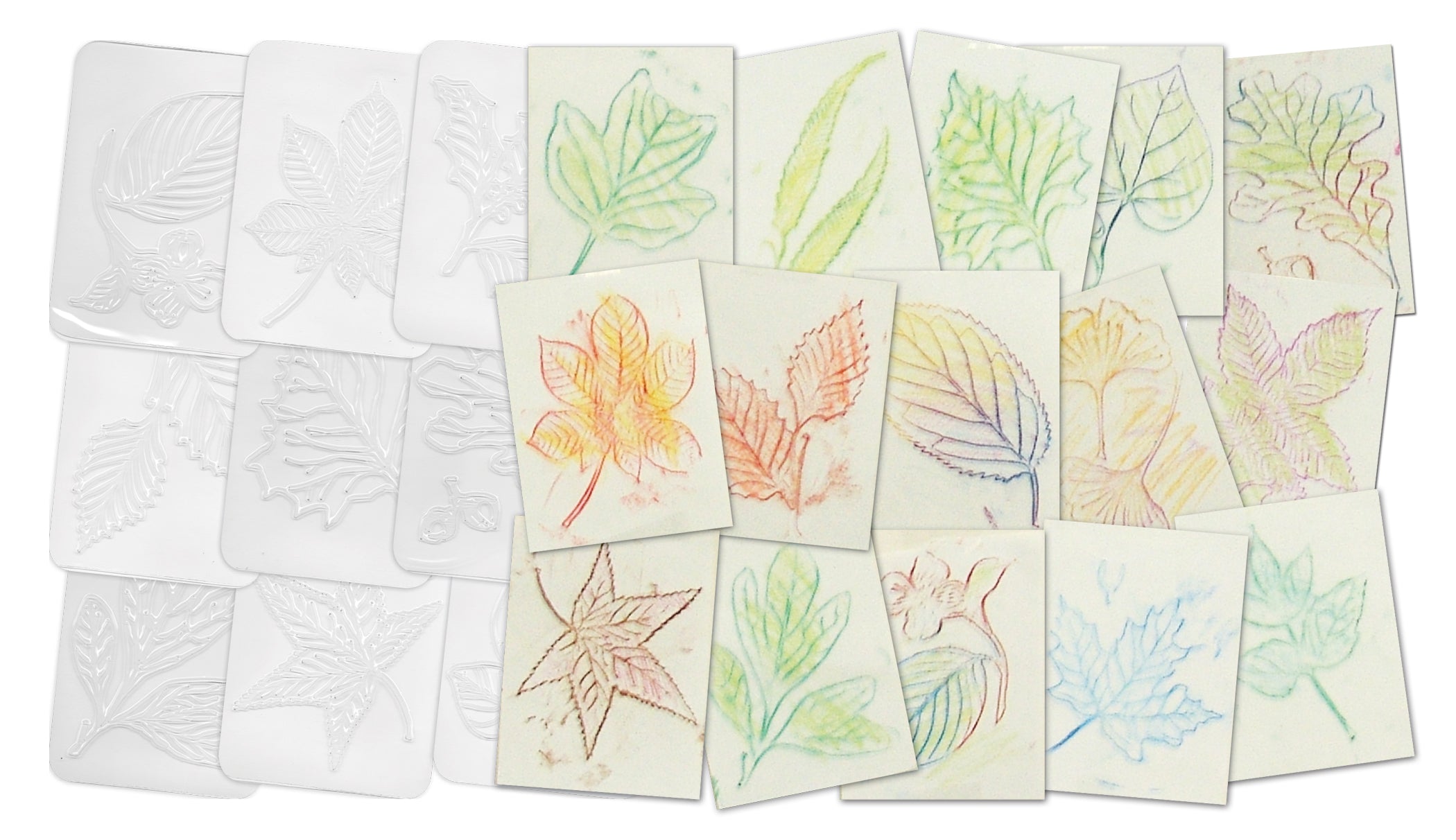 Leaf Rubbing Plates 16/pkg