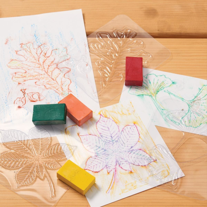 Leaf Rubbing Plates 16/pkg