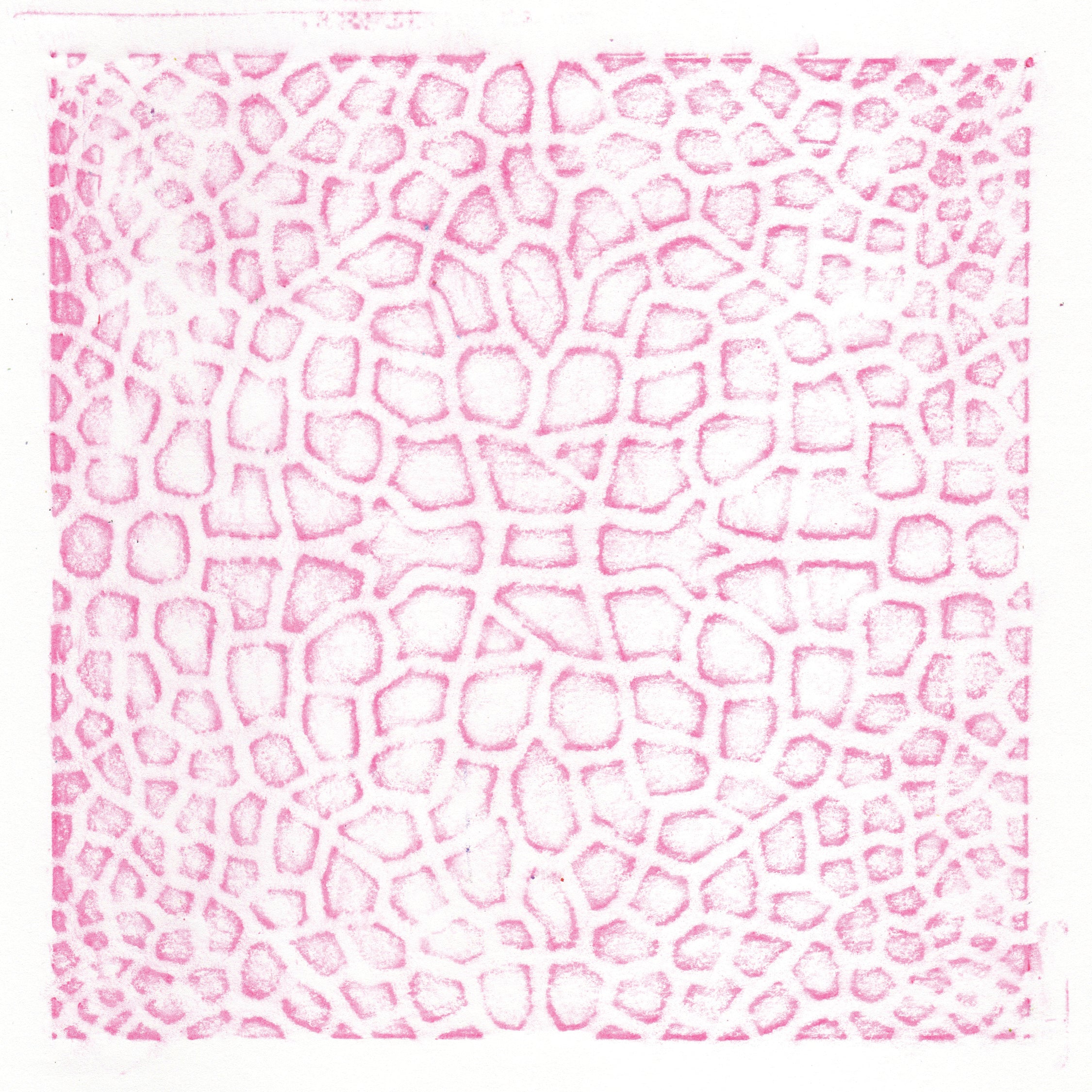 Animal Skins Rubbing Plates 6/pkg