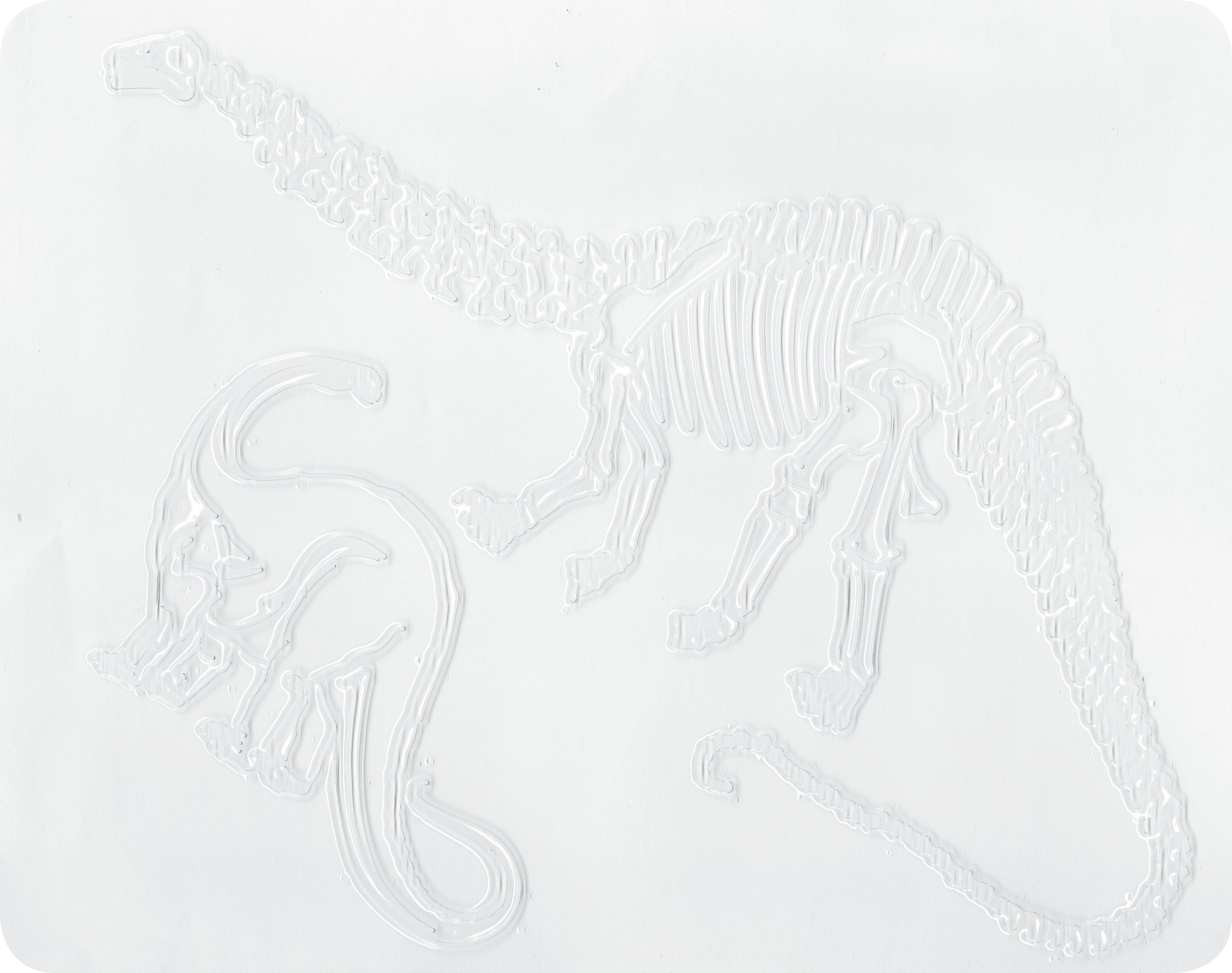 Dinosaur Rubbing Plates 6/pkg