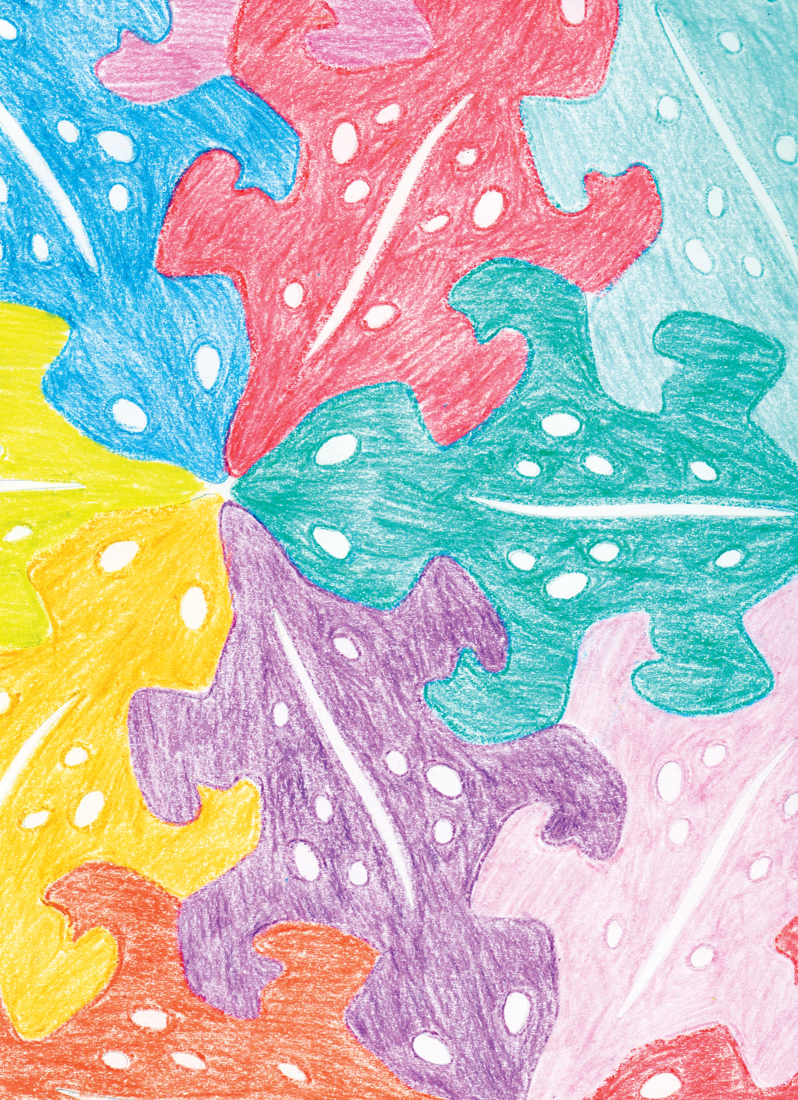 Tessellations Animal Templates  12/pkg