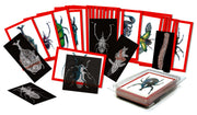 Insect X-Rays & Picture Cards  36/pkg