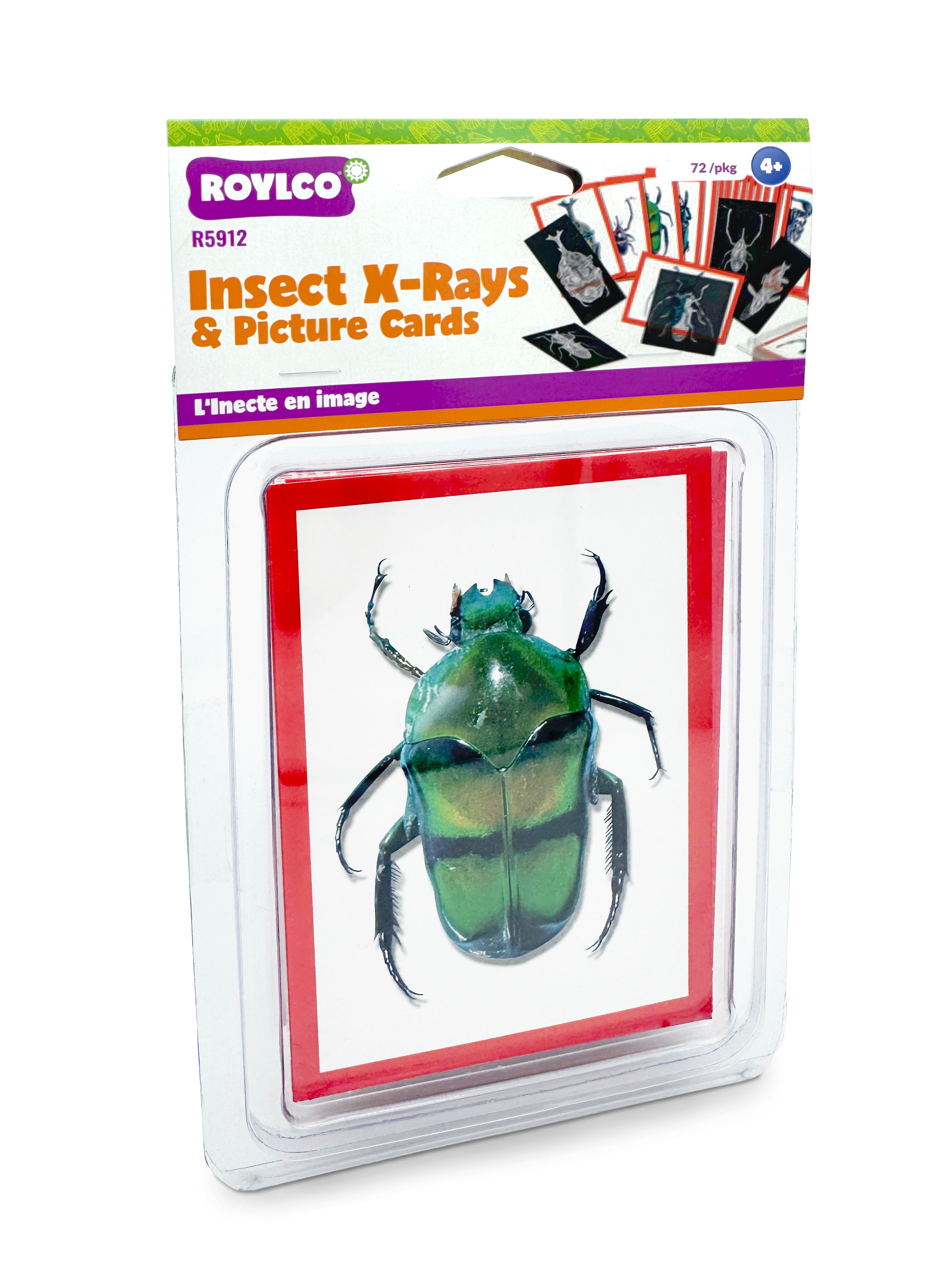 Insect X-Rays & Picture Cards  36/pkg