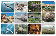 Discover Dinosaurs Picture Cards & X-rays