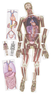 Look Inside Me MRI Scan