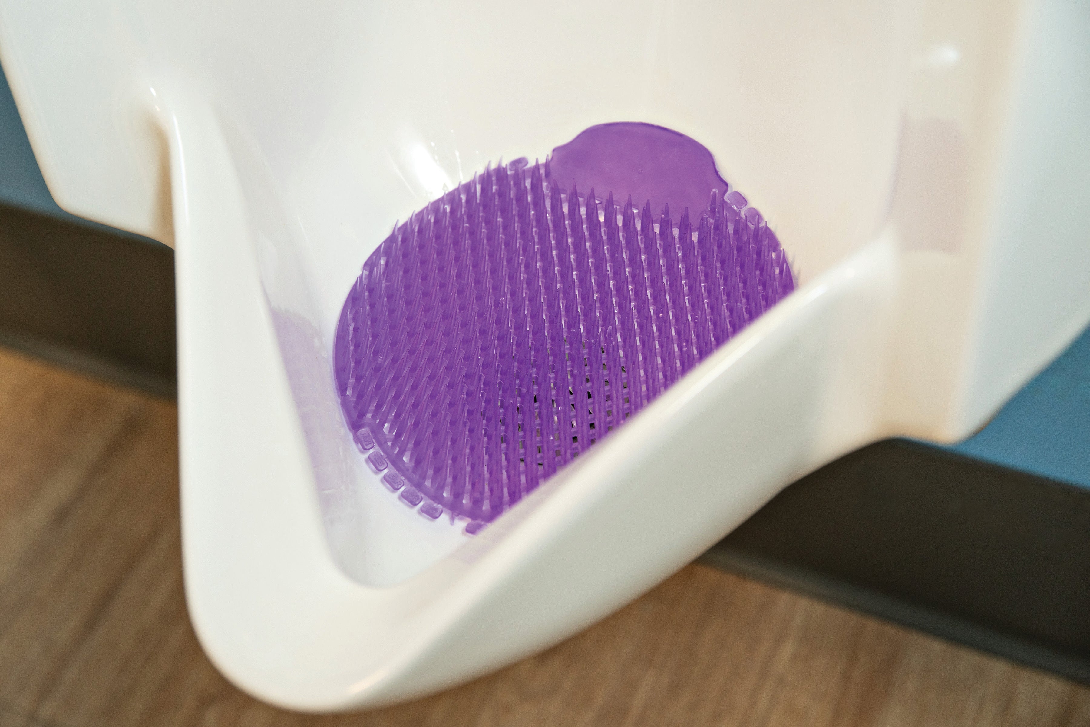 Slant7 Fabulous (60 Pack)