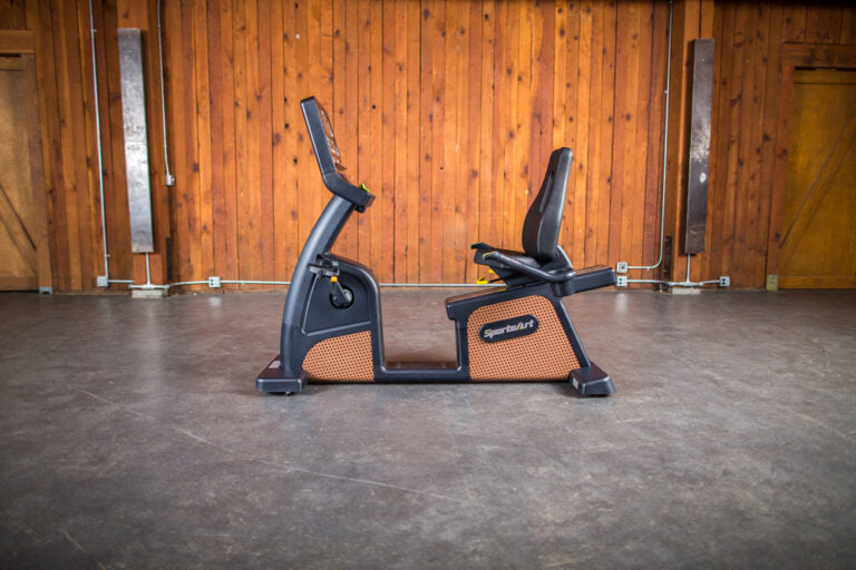 C576R - Status Eco-Natural Recumbent Cycle