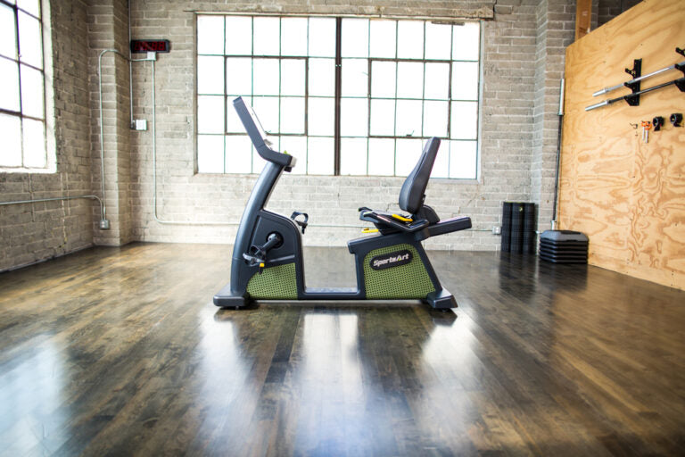 G576R - Status Eco-Powr Recumbent Cycle