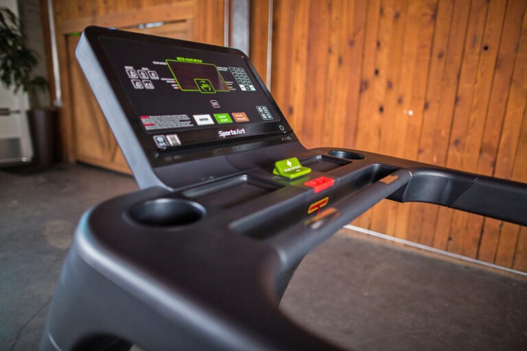 N685 - Verde Status Eco-Natural Treadmill