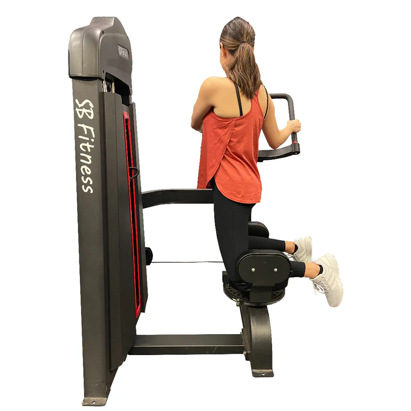 Commercial Rotary Torso with 200 lbs. Stack