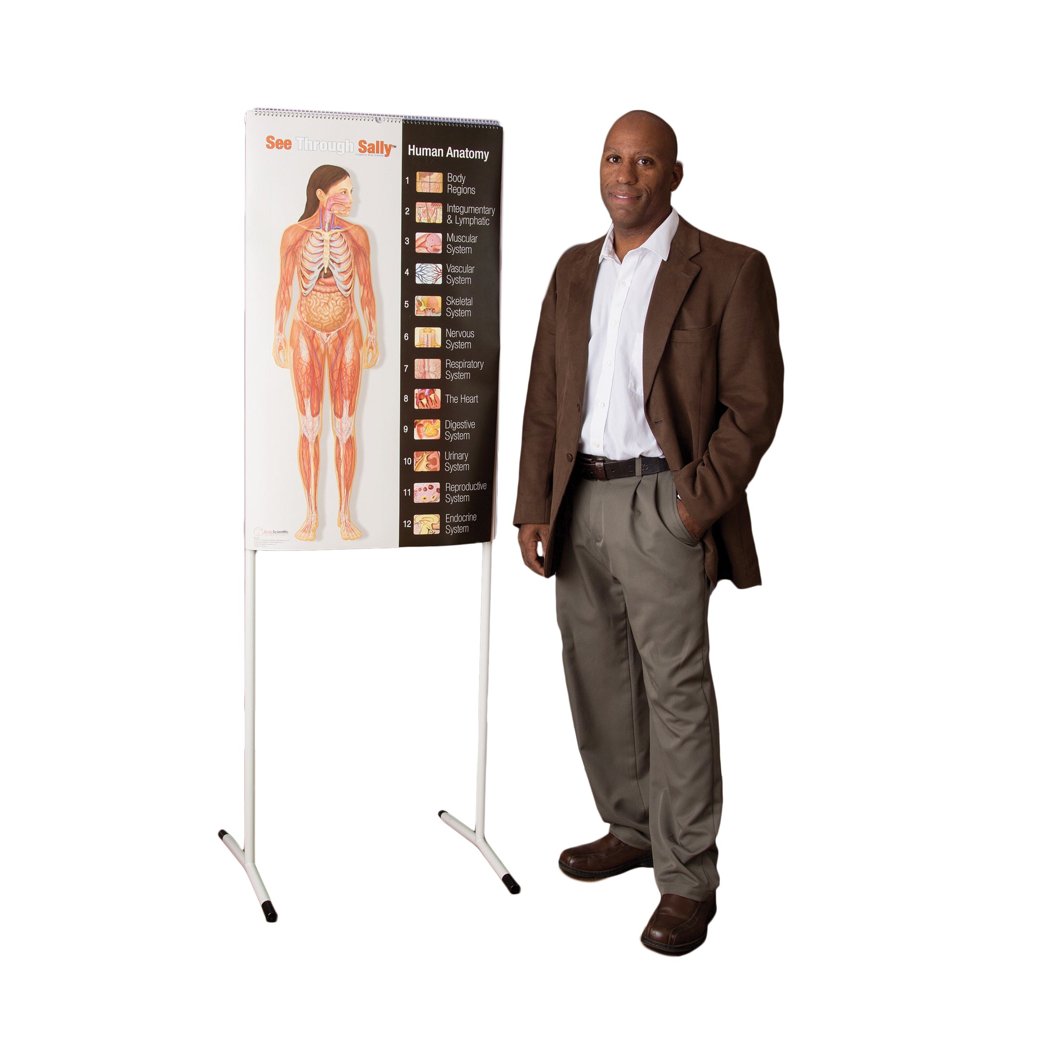 United Scientific® See-Through Sally™ Human Anatomy Display