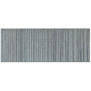 Senco 16-Gauge Galvanized Straight Finish Nail, 2 In. (2000 Ct.)