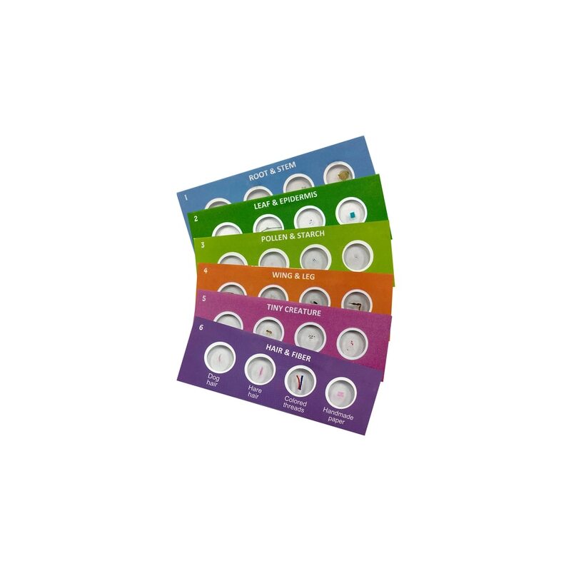 Scout™ Microscope Prepared Specimen Slides