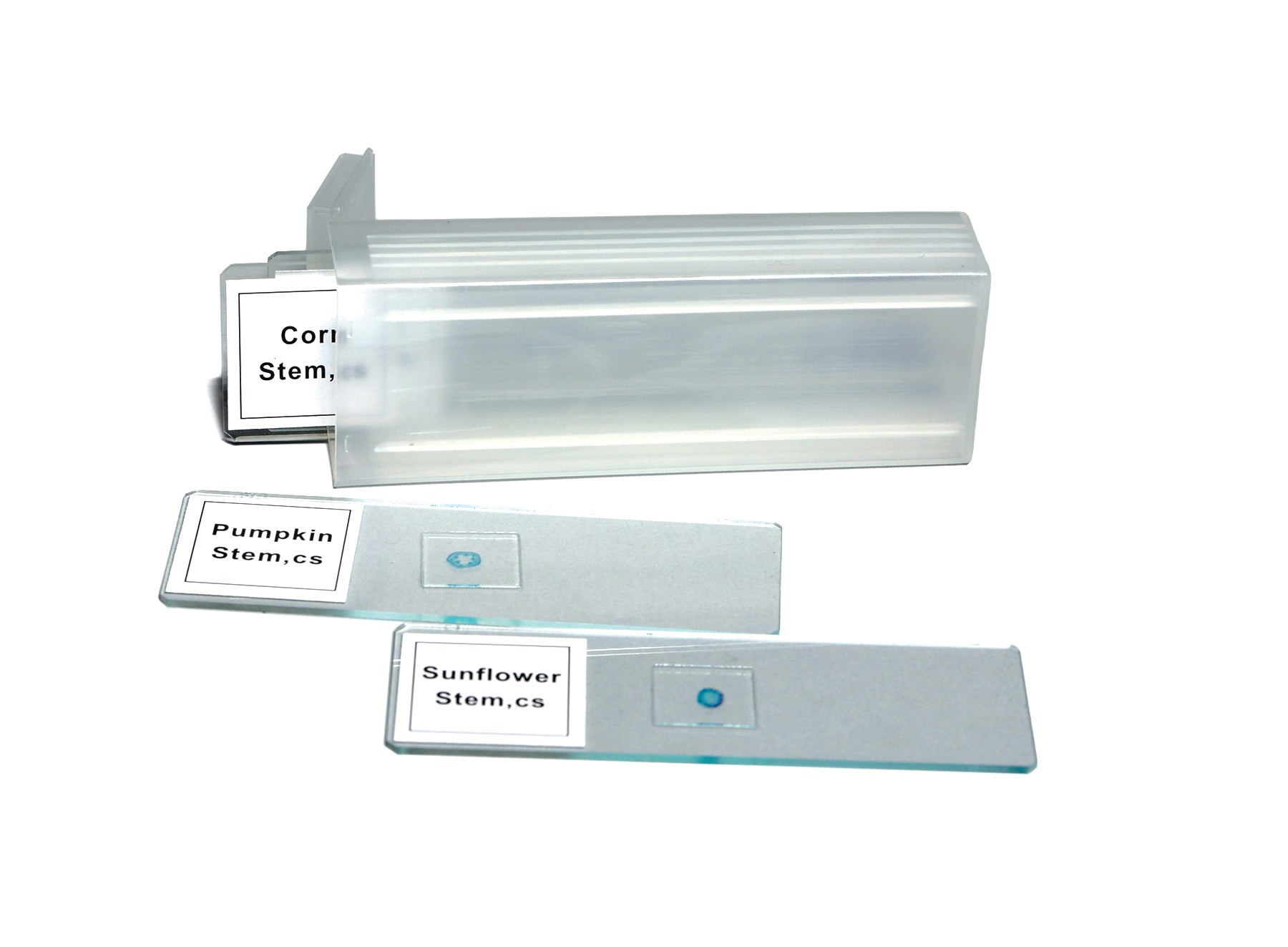 United Scientific® Prepared Slide Set, 4 Slides