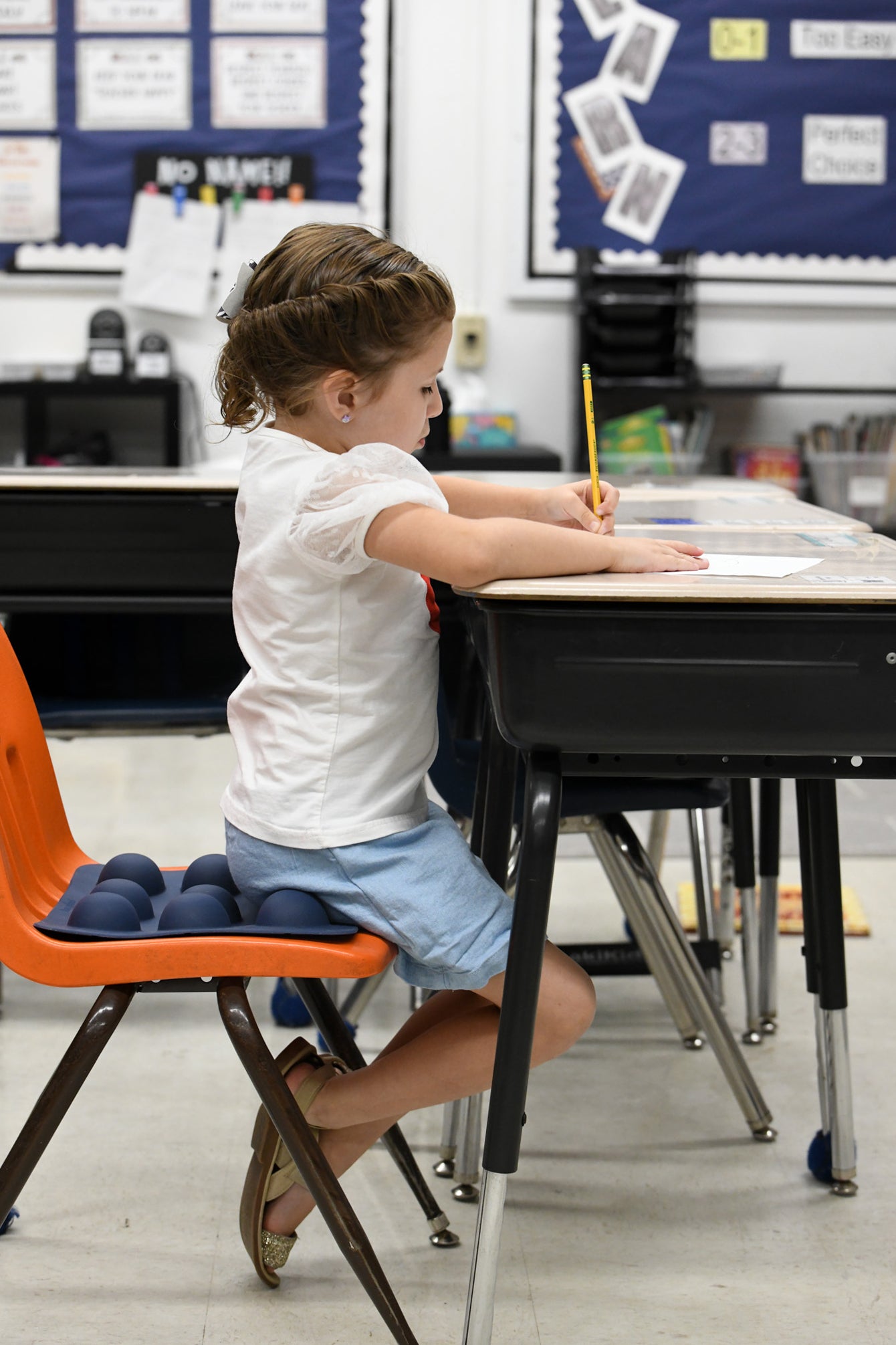 SitSmart Sensory Chair Pad