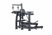 A980 - Plate Loaded Arm Extension