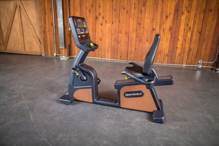 C576R - Status Eco-Natural Recumbent Cycle