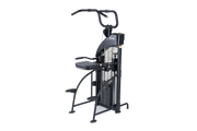DF-307 Performance Dual Function Chin-Up/Tricep Dip