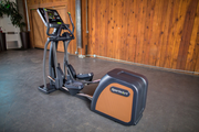 E876 - Status Eco-Natural Elliptical